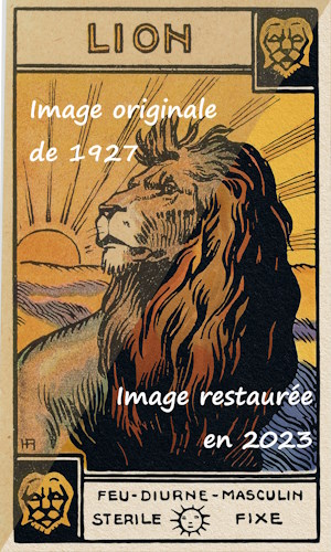 10-avant-après-tarot-astro-Lion avec texte.jpg